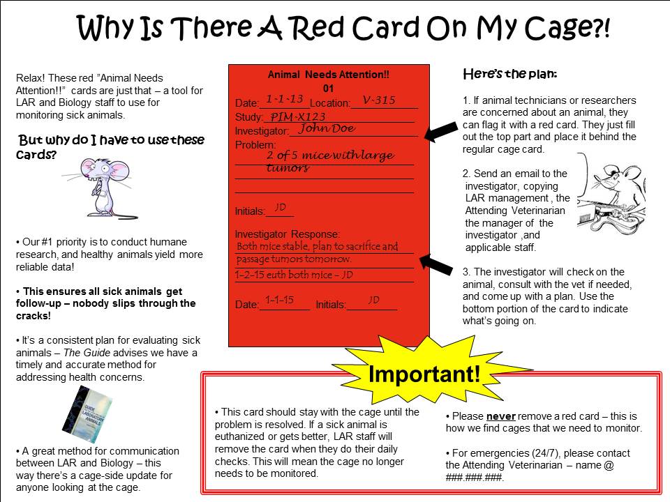 Why Is There A Red Card On My Cage? – Laboratory Animal Facility (CWB)